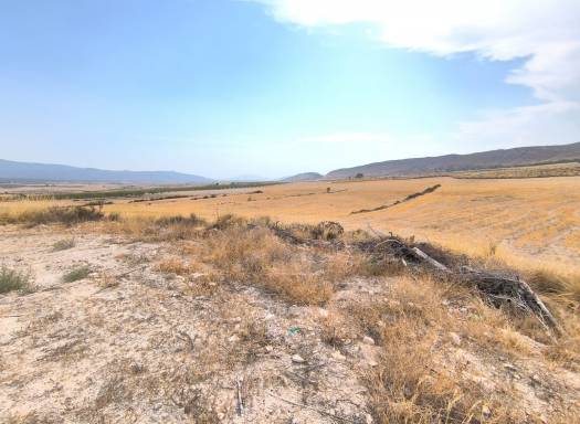 Casa de Campo - Venta - Jumilla - Rural location