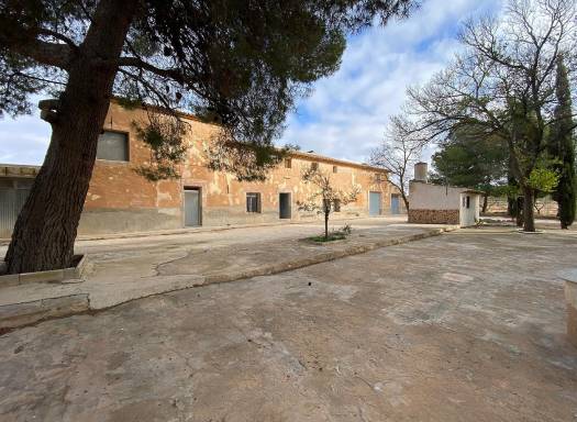 Casa de Campo - Venta - Pinoso - Pinoso