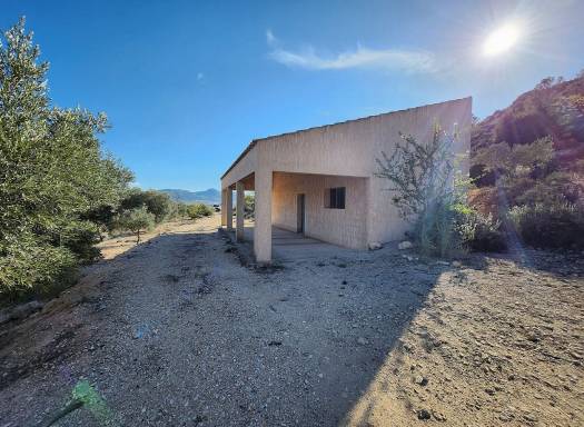 Casa de Campo - Venta - Villena - Villena