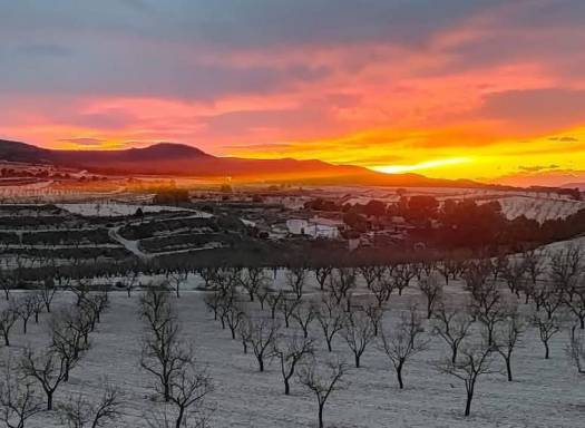 Country House - Resale - La Zarza - La Zarza