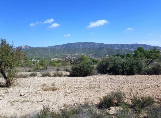 Detached Villa - Nueva construcción  - Monovar - Monovar