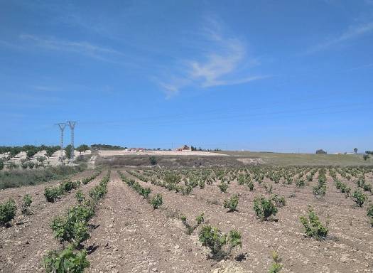 Detached Villa - Resale - Cañada Del Trigo - Cañada Del Trigo