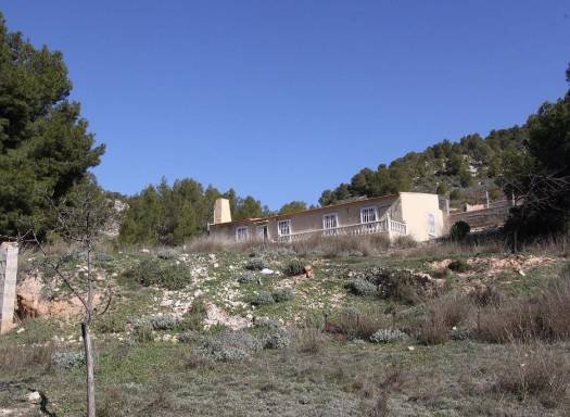 Detached Villa - Venta - Petrer - IVD13432