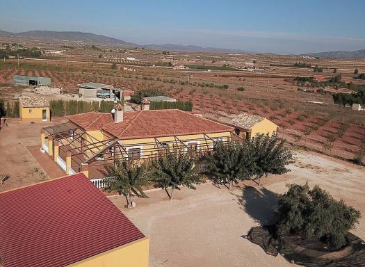 Detached Villa - Venta - Pinoso - Pinoso