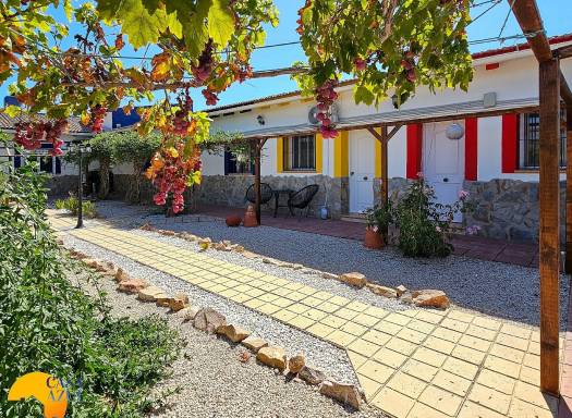 Finca - Venta - Catral - Catral