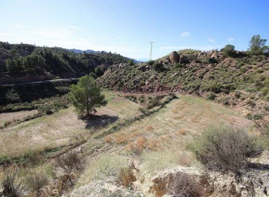 Land - Resale - Abanilla - Abanilla