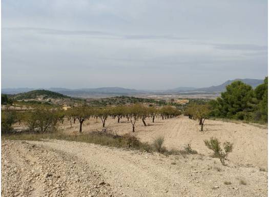 Land - Resale - Abanilla - Rural location