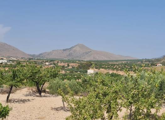 Land - Resale - Abanilla - Rural location