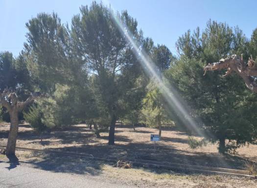 Land - Resale - Beneixama - 51148