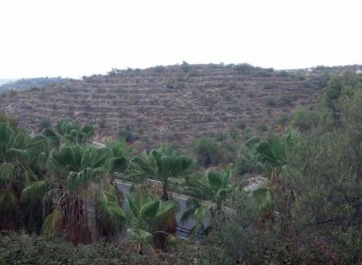 Land - Resale - Gandia - Rural location