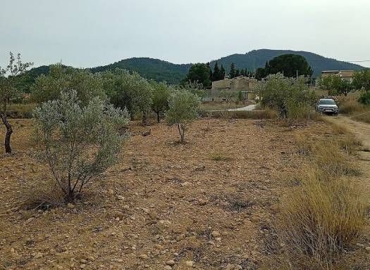 Land - Resale - Monovar - Monovar