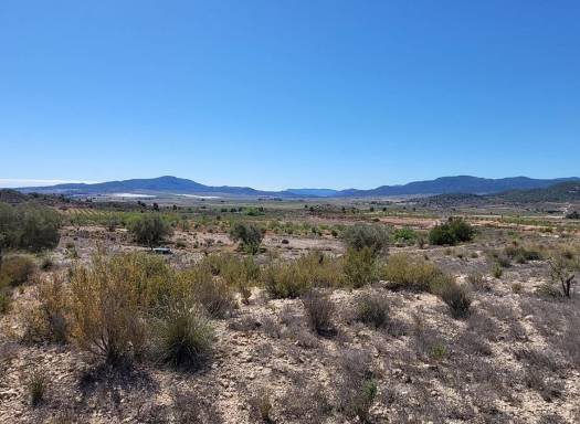 Land - Resale - Monovar - Monovar