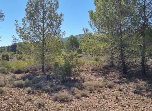 Land - Resale - Monovar - Monovar