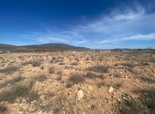Land - Resale - Pinoso - 64025C2409