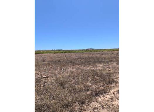 Land - Resale - Pinoso - Lel