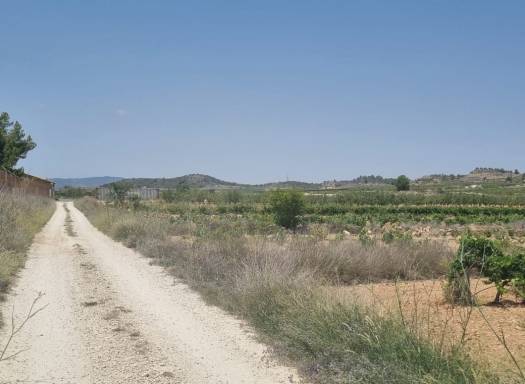 Land - Resale - Pinoso - Pinoso - El Pinós