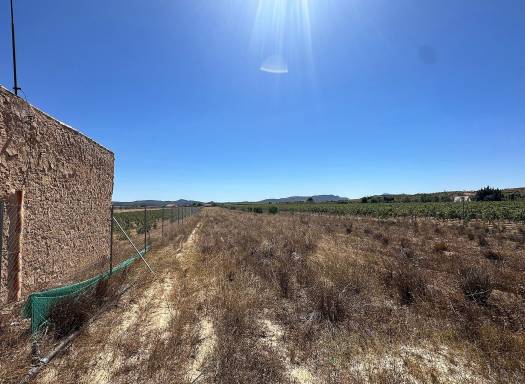 Land - Resale - Pinoso - Pinoso