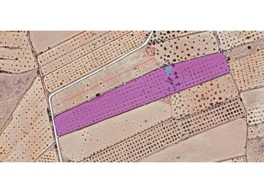 Land - Resale - Pinoso - Pinoso