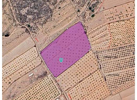 Land - Resale - Pinoso - Pinoso