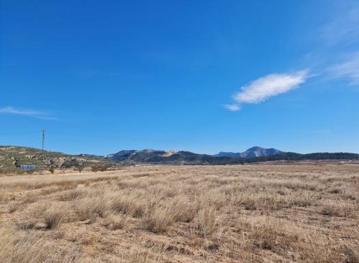 Land - Resale - Pinoso - Pinoso