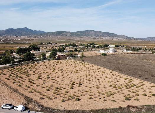 Land - Resale - Pinoso - Pinoso