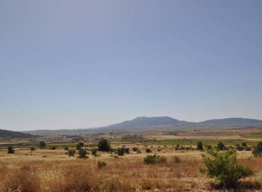 Land - Resale - Pinoso - Rural location