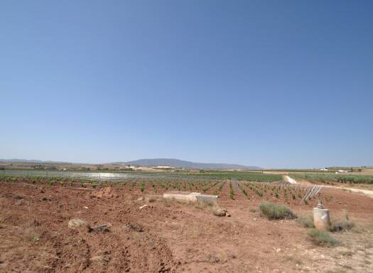 Land - Resale - Pinoso - Rural location