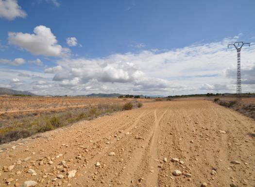Land - Resale - Pinoso - Rural location