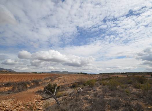 Land - Resale - Pinoso - Rural location