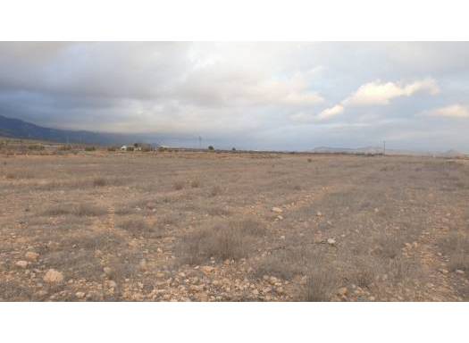 Land - Resale - Pinoso - Rural location