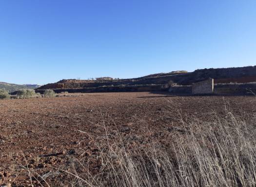 Land - Resale - Pinoso - Rural location