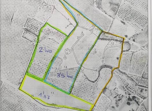 Land - Resale - Pinoso - Rural location