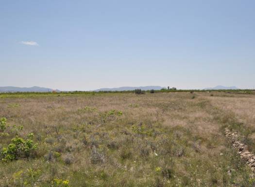 Land - Resale - Pinoso - Rural location
