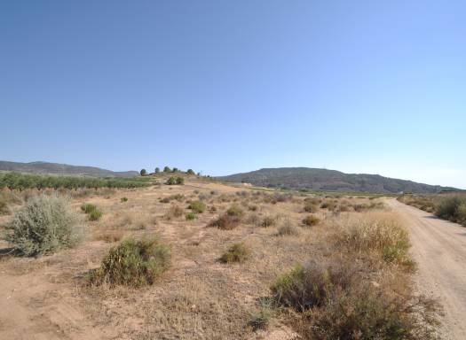 Land - Resale - Pinoso - Rural location