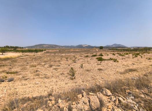 Land - Resale - Pinoso - Rural location