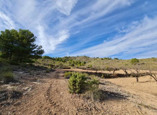 Land - Resale - Raspay - Rural location