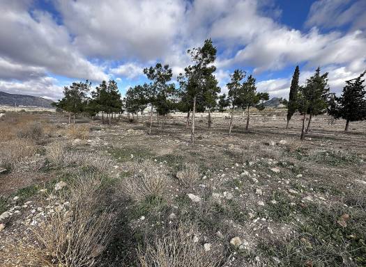 Land - Resale - Salinas - Salinas