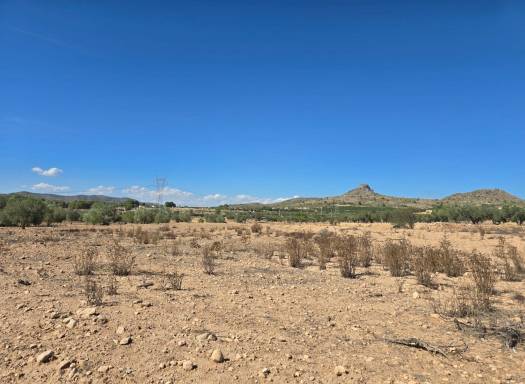 Land - Resale - Salinas - Salinas