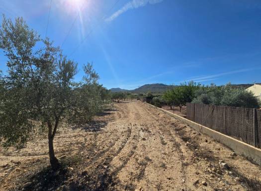 Land - Resale - Salinas - Salinas