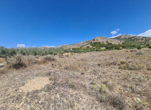 Land - Resale - Sax - Sax