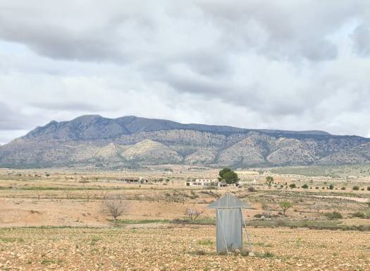 Land - Resale - Torre Del Rico - Rural location