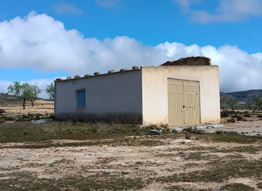 Land - Resale - Yecla - Yecla