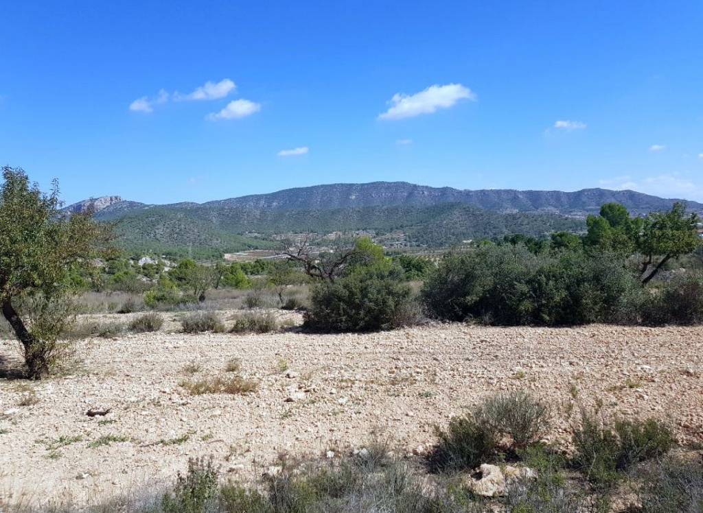 New Build - Detached Villa - Monovar