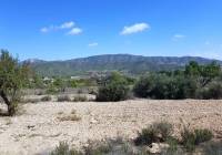 New Build - Detached Villa - Monovar