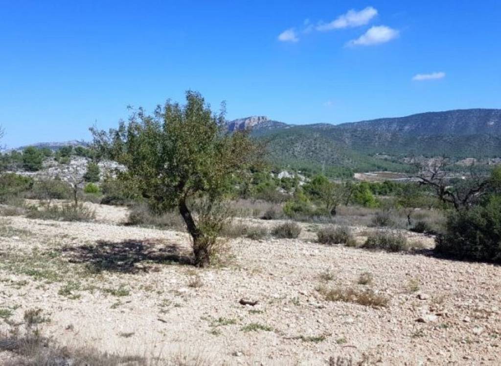 New Build - Detached Villa - Monovar