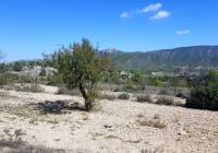 New Build - Detached Villa - Monovar