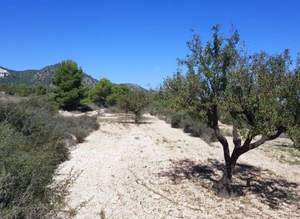 New Build - Detached Villa - Monovar