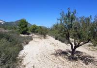 New Build - Detached Villa - Monovar