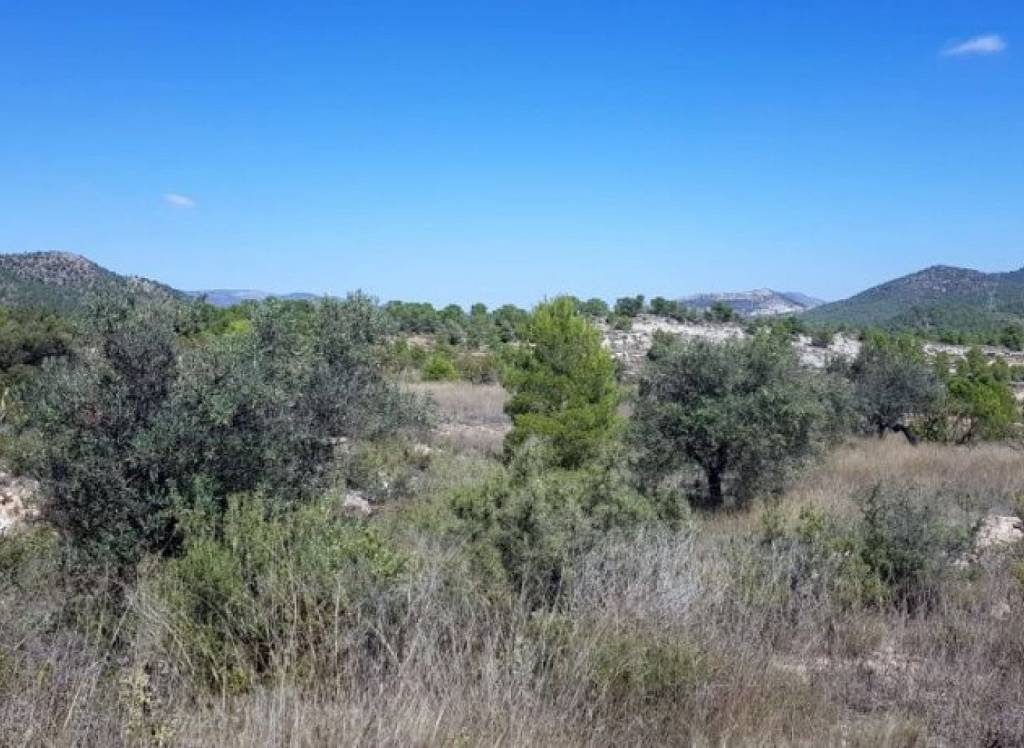 New Build - Detached Villa - Monovar