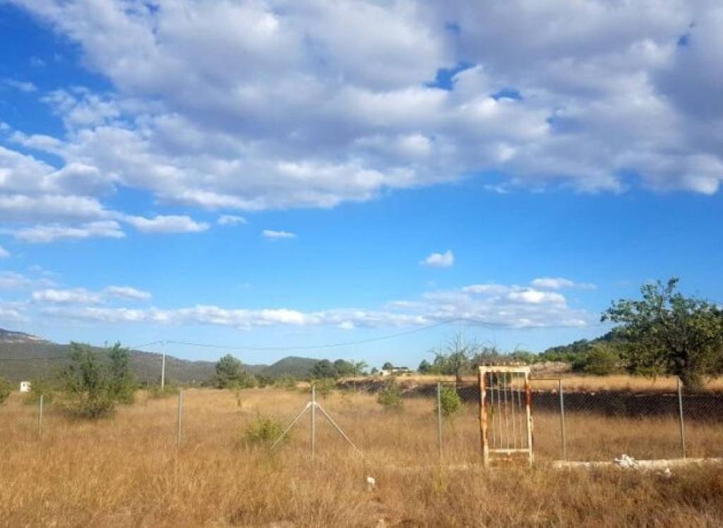 New Build - Detached Villa - Monovar